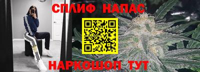 не бодяженный Моздок