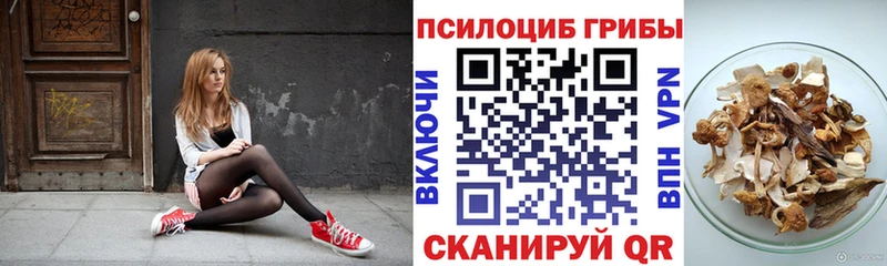 Псилоцибиновые грибы мицелий  Тула 