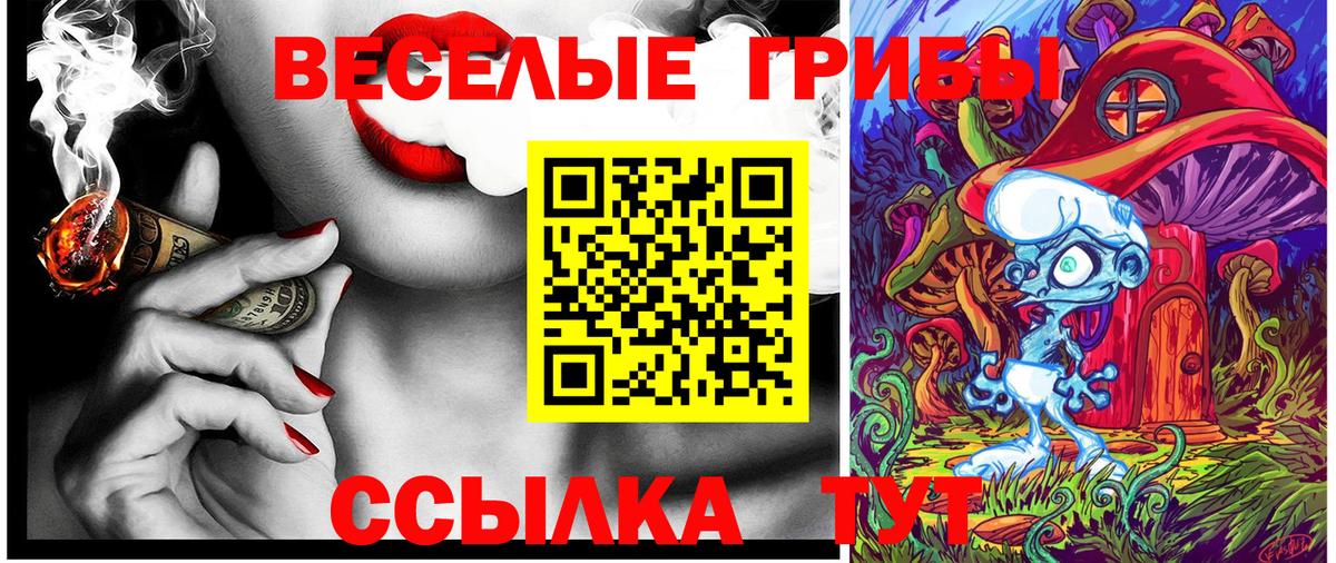 Тула  Псилоцибиновые грибы мухоморы  Вход с VPN 